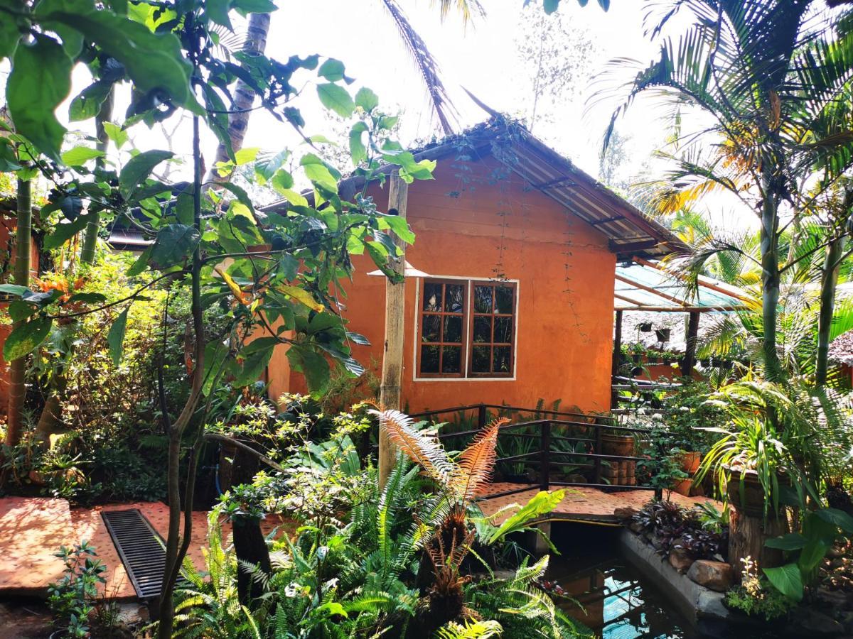 บ้านดินโฮมสเตย์ ปางอุ๋ง Ban Huai Makhuea Som Extérieur photo