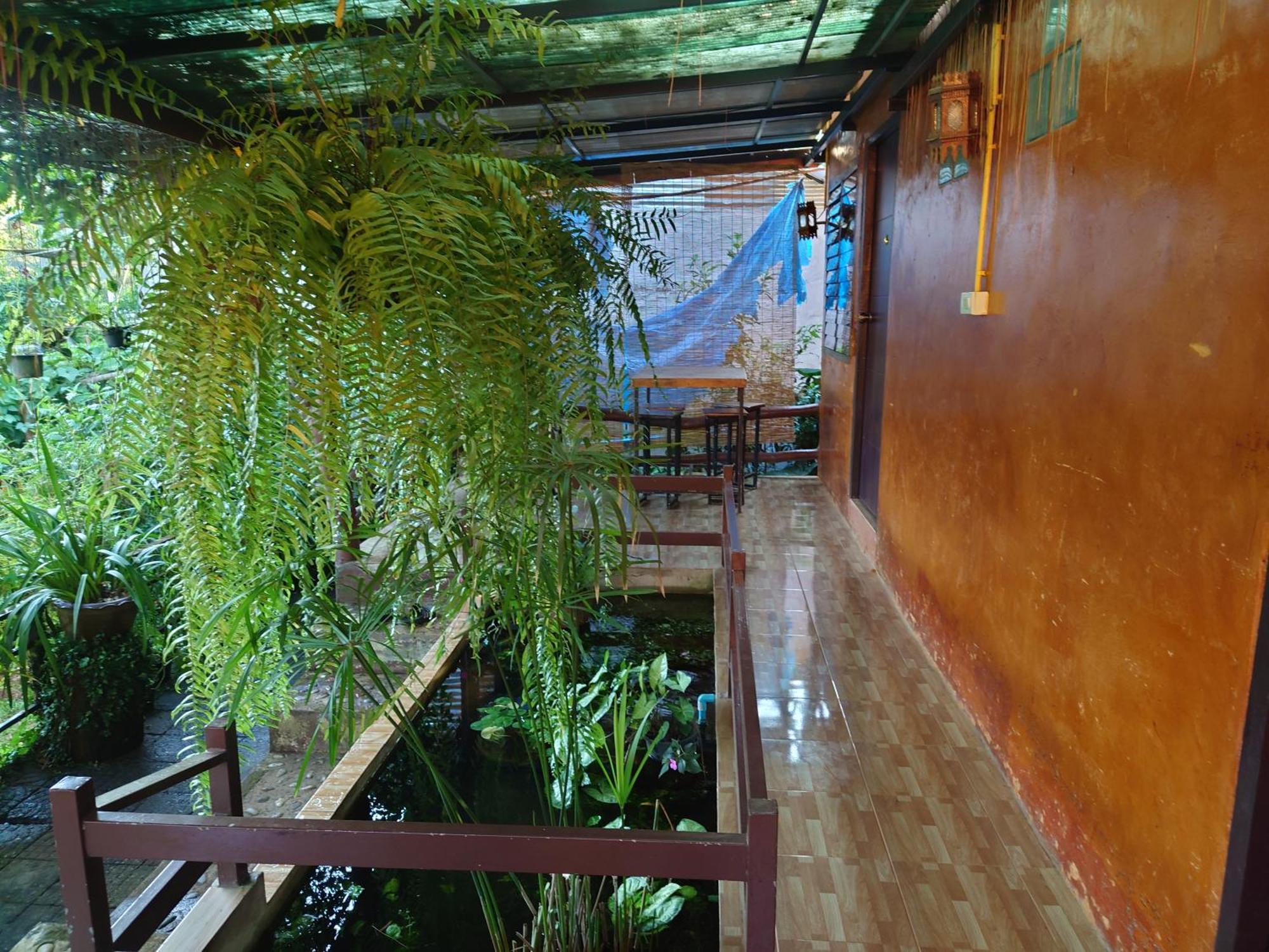 บ้านดินโฮมสเตย์ ปางอุ๋ง Ban Huai Makhuea Som Extérieur photo